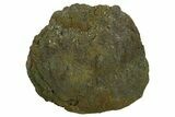 Polished Barite and Marcasite - Lubin Mine, Poland #335151-1